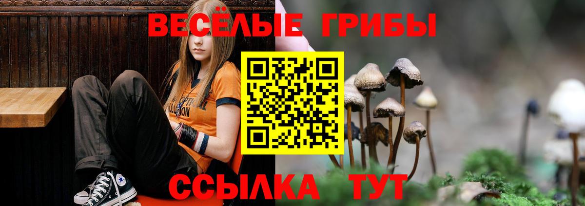 Псилоцибиновые грибы MAGIC MUSHROOMS Новоалександровск