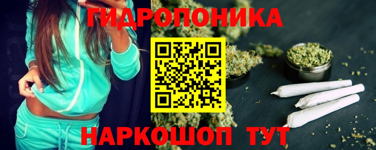 Новоалександровск  Каннабис план  Марихуана тримм  Вход с VPN 